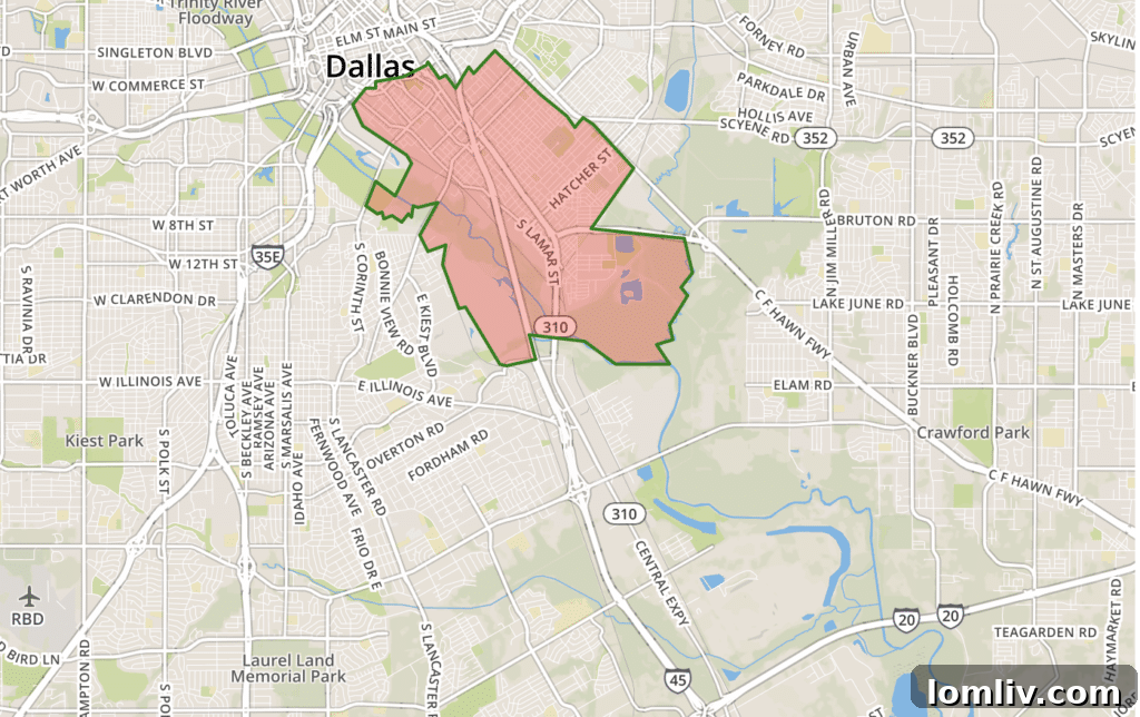 Dallas Zip Code 75215 Overview