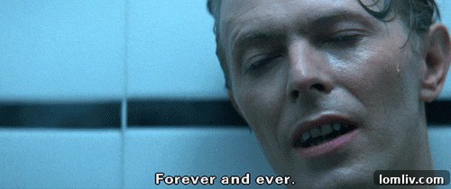 An aerial or elevated view showcasing the unique roofline and colorful exterior elements of the Bioscleave House, integrated into the natural surroundings.