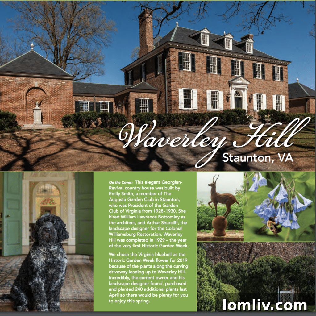 DPM-2-e1555359221594