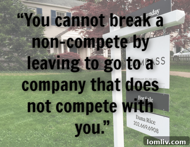 image of legal scales