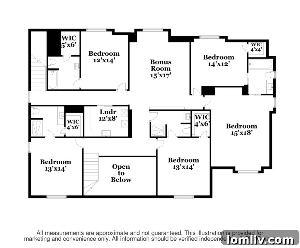 Lush Green Lawn - Outdoor Space