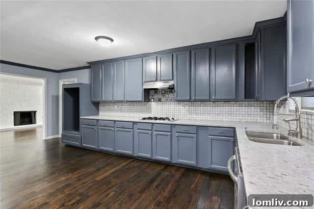 Gourmet Kitchen in Dallas Property