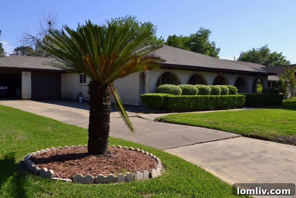 A gardener applying a thick layer of organic mulch around young vegetable plants in a garden bed