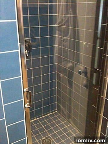 The old, outdated shower before renovation at 2417 Boyd Avenue