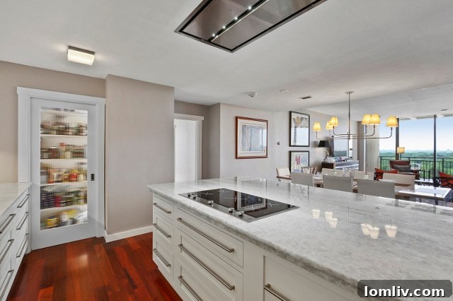 Luxury Kitchen Design with Induction Cooktop and Pantry