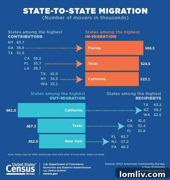 Dallas County Migration Trends