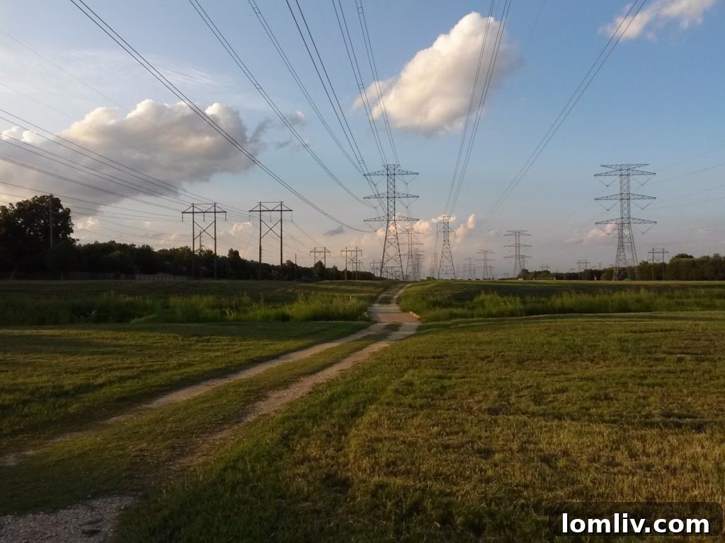 Texas Power Line and Electricity Grid