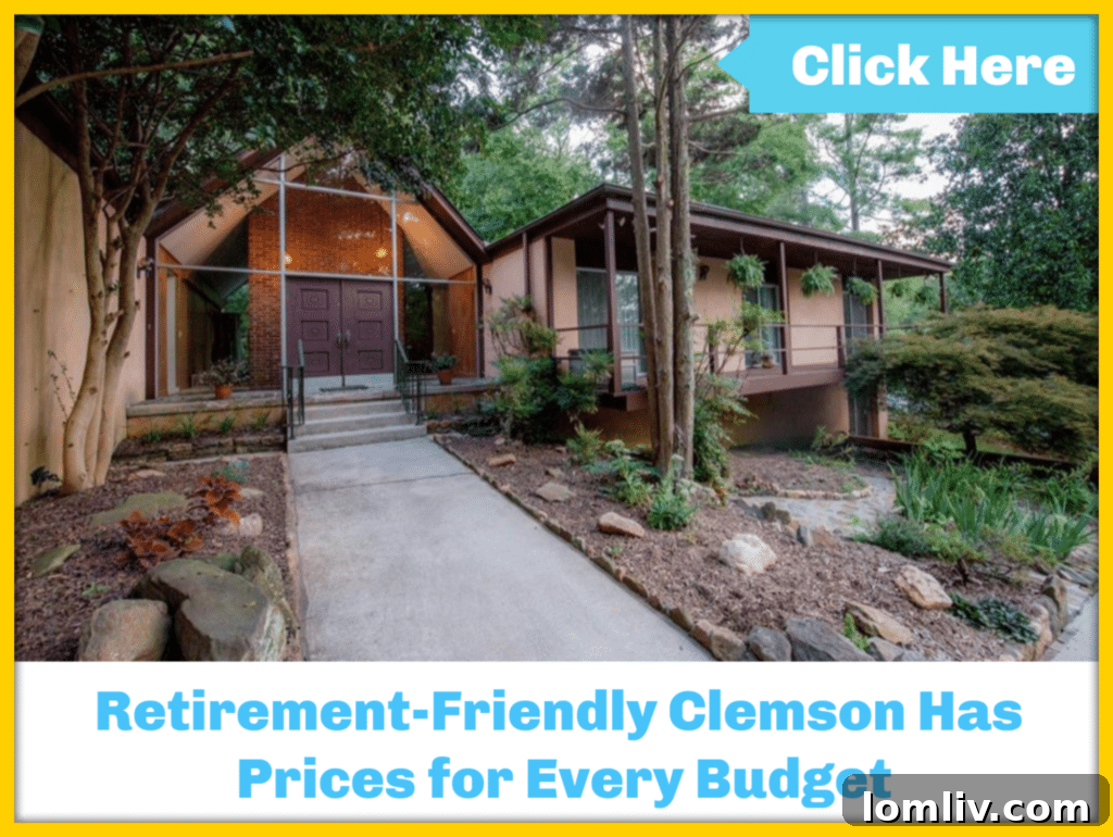 Clemson University Campus with a vibrant, welcoming atmosphere, ideal for active retirees seeking intellectual and community engagement.