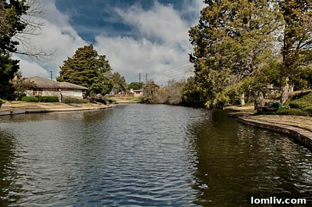 District 9's Brief Koi Controversy 2 Briar Creek between Lange Circle and Patrick Drive