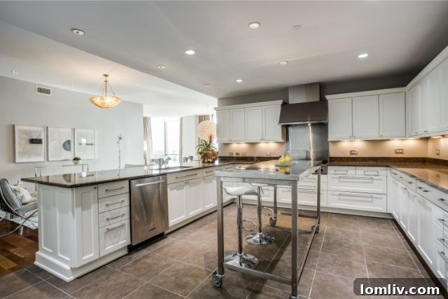 Luxury Dallas condo kitchen