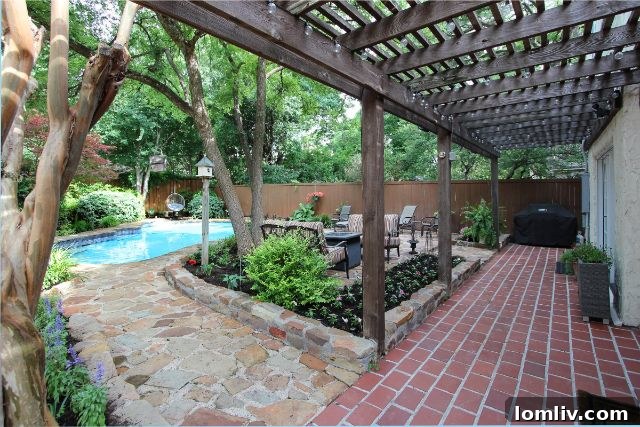 Lush Backyard Oasis with Sparkling Swimming Pool in Dallas
