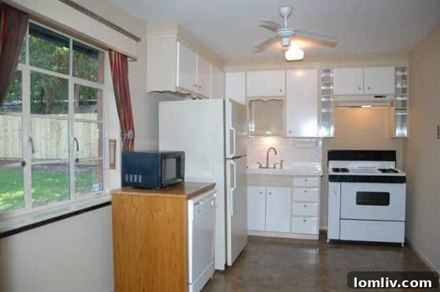 Spacious backyard and separate guest house at 4239 Bonham St