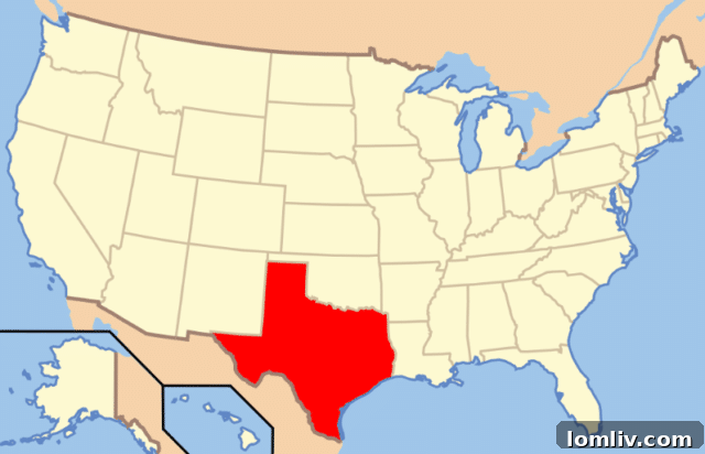 Texas Real Estate Market Trends: Home Value Appreciation and Affordability Challenges