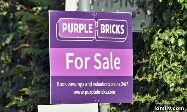 5852005_d3ee74ec-e1562553701205