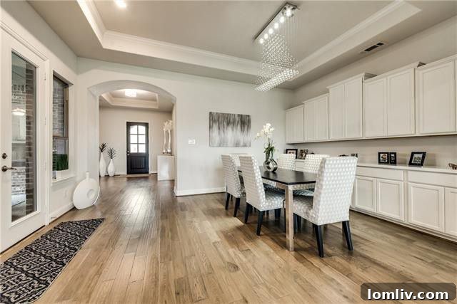 Modern kitchen with high-end appliances in The Tribute home, The Colony