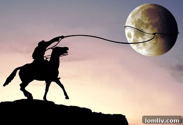 Realistic Development Negotiations