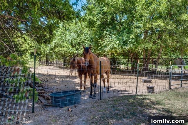 Spacious horse barn on a Cedar Hill property with ample land