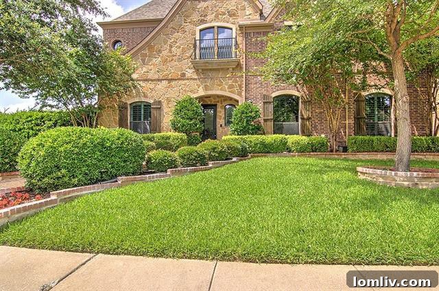 Plano Home Backyard with Pool