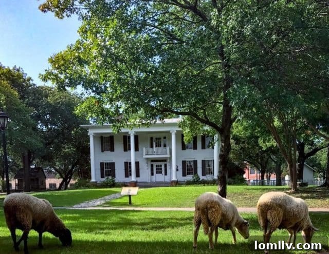Dallas Heritage Village - Blum House