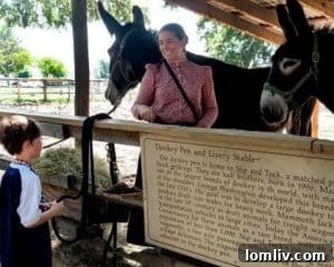 Joe and Doris Dealey Foundation Grant