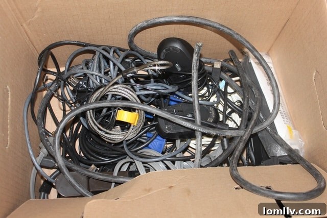 Additional view of miscellaneous office items at the Dallas Morning News estate auction