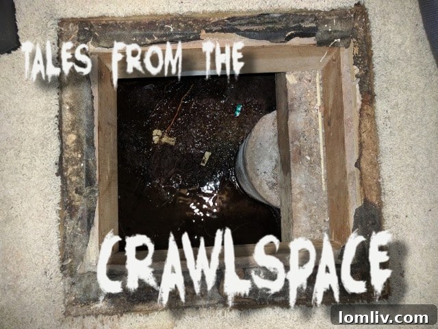 Crawlspace Chills and Inspection Nightmares 2 A dark and mysterious crawl space, hinting at hidden dangers and unexpected finds during a home inspection.