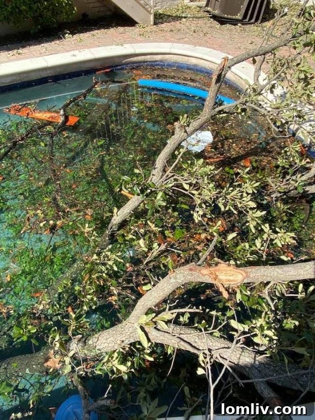 Attorney James S. Bell advises taking many photos of property damage.