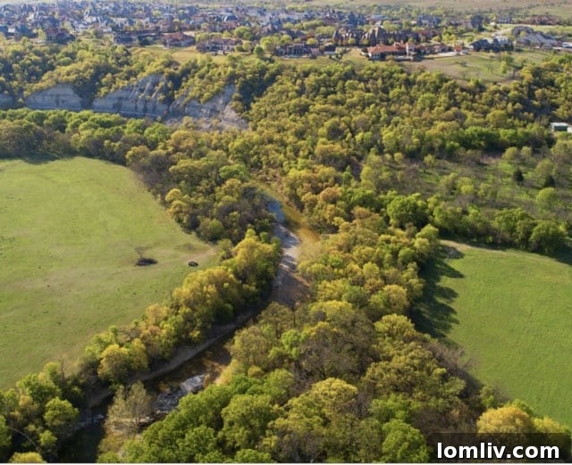 Montrachet: Fort Worth's Hill Country Gateway 2 Montrachet