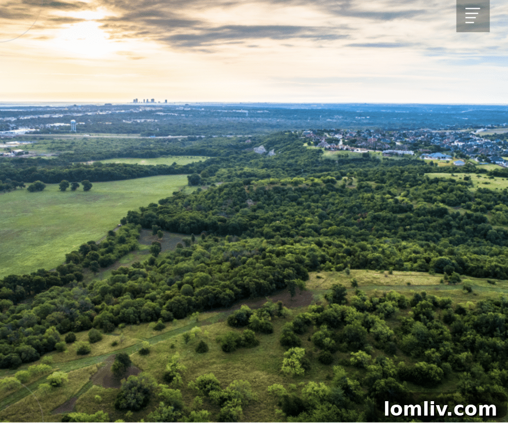 Montrachet: Fort Worth's Hill Country Gateway 4 Montrachet