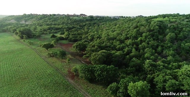 Montrachet: Fort Worth's Hill Country Gateway 8 Montrachet