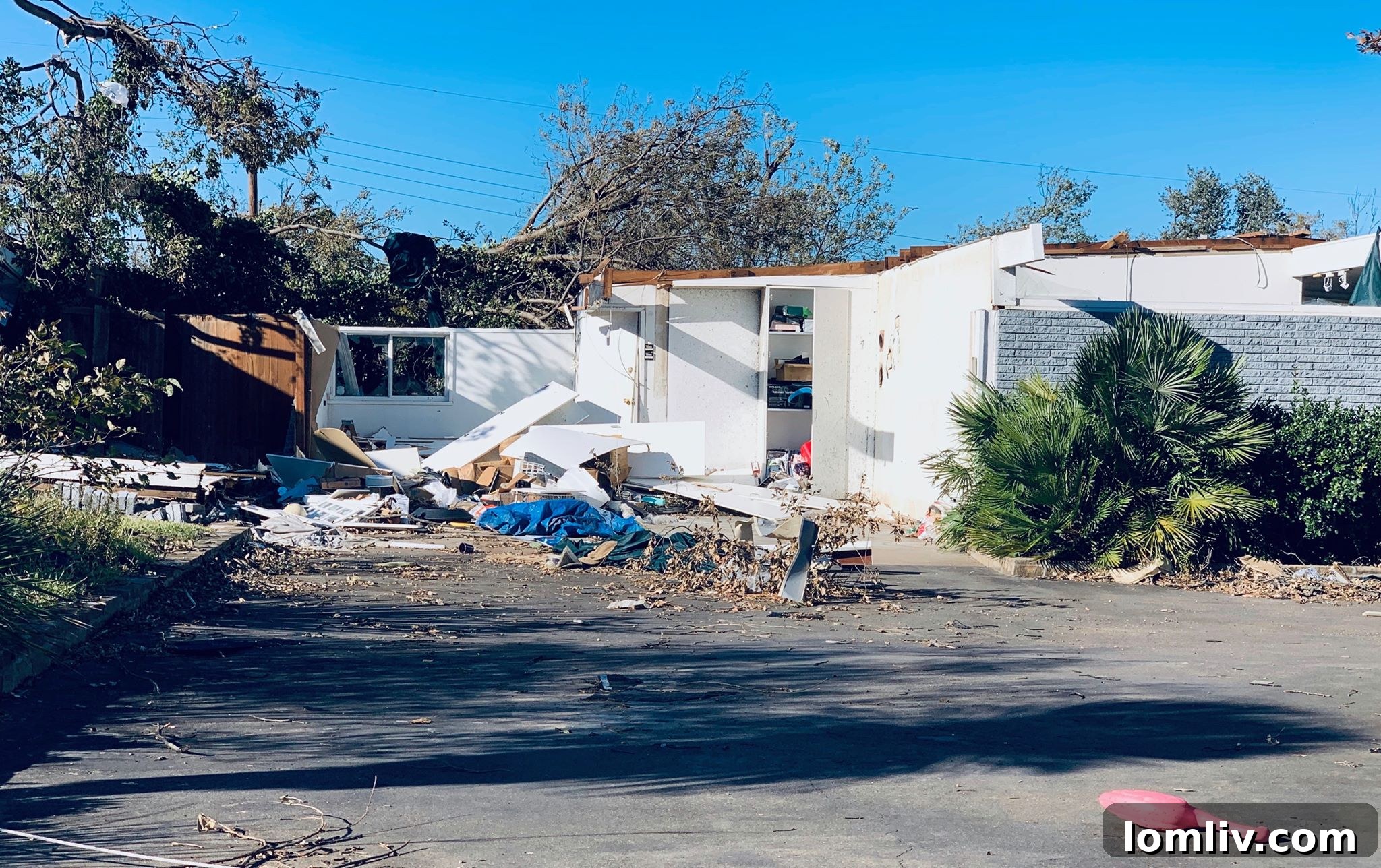 Northaven-MidCentury