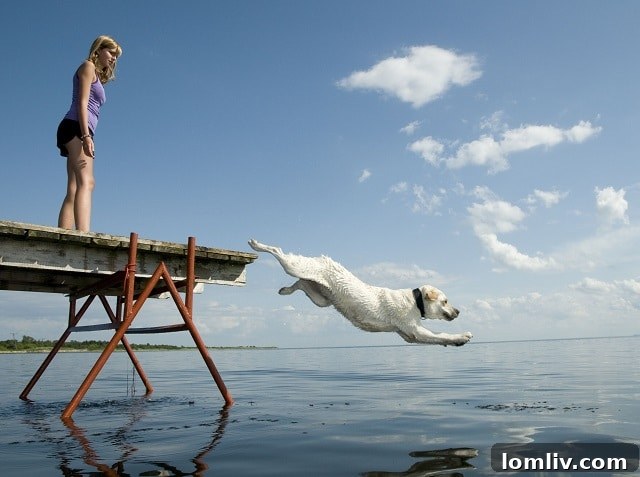 The Lake Won't Wait: Embrace Your Retirement Joy Today 2 Embracing a New Chapter: Downsizing to Resort-Style Living