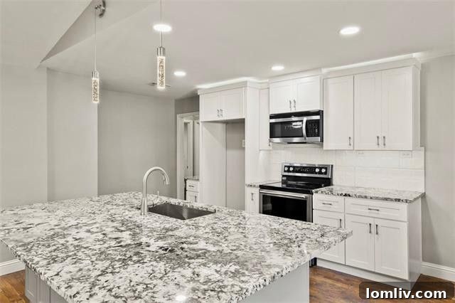 Modern kitchen with quartz countertops and stainless steel sink in a Richardson renovation