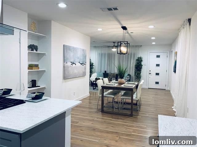 Modern Kitchen and Living Space in Renovated Dallas Home