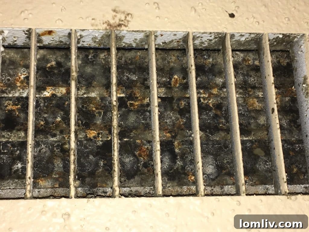 Black Mold Growth Near HVAC Vent
