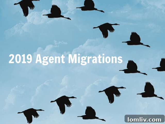 Ducks migrating, symbolizing real estate agent movement and strategic shifts in the Dallas market.