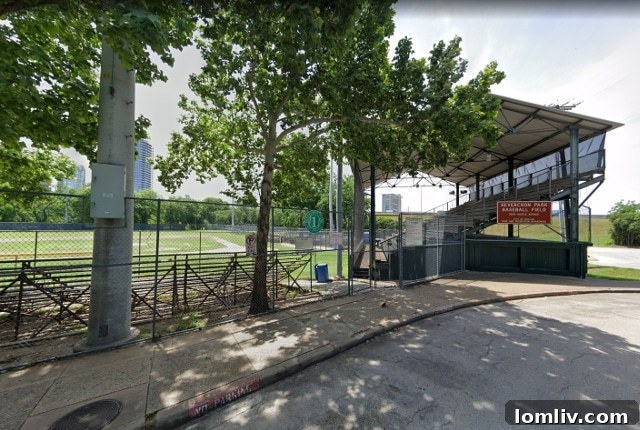 Reverchon Park Baseball Field Render