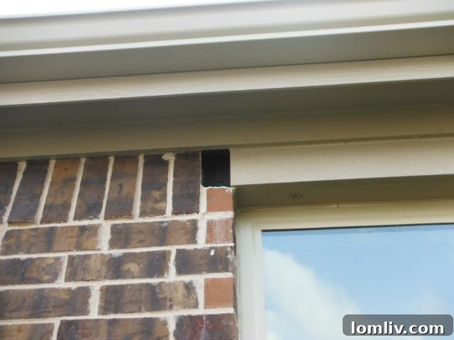 A section of an exterior brick wall with one brick visibly missing, situated right where a sprinkler system pipe passes through a new fence.