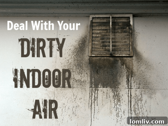 Indoor air quality issues, dry skin, and allergens during winter, represented by dirty air
