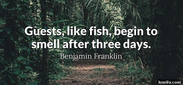 Creating a welcoming and comfortable experience for your house guests