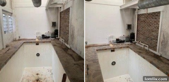 Baltimore's Foreclosure Enigma 5 The Enigmatic Indoor Pool within the Baltimore Townhome