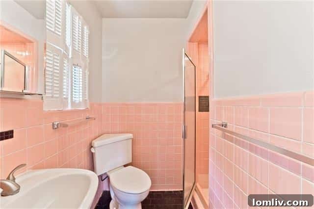 Lakewood Heights Premium Picks or Savvy Steals 11 Charming Retro Pink Bathroom - Unique Features in Dallas Home