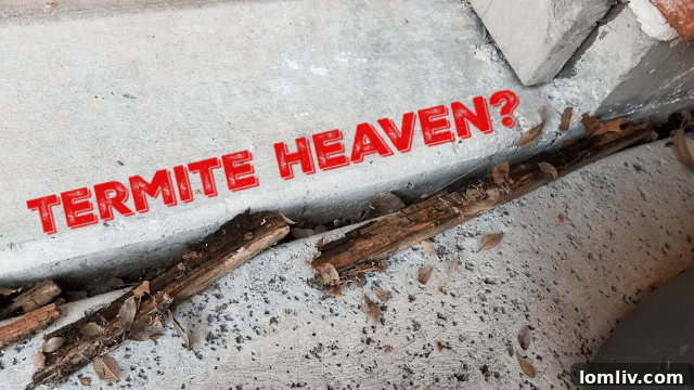 Form boards are a common termite attractant, often left behind after construction.