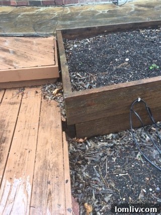 Overgrown shrubs and trees against your home can hide termite activity and retain moisture.