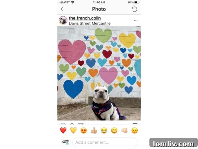 Katie Fuerst Art: Where Creativity Meets Your Location 11 Katie Fuerst Art: Take-Home Kits and Community Engagement