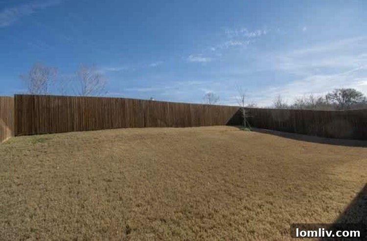 View of backyard with covered patio and green space