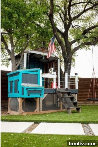 Why You Need a Backyard Chicken Coop