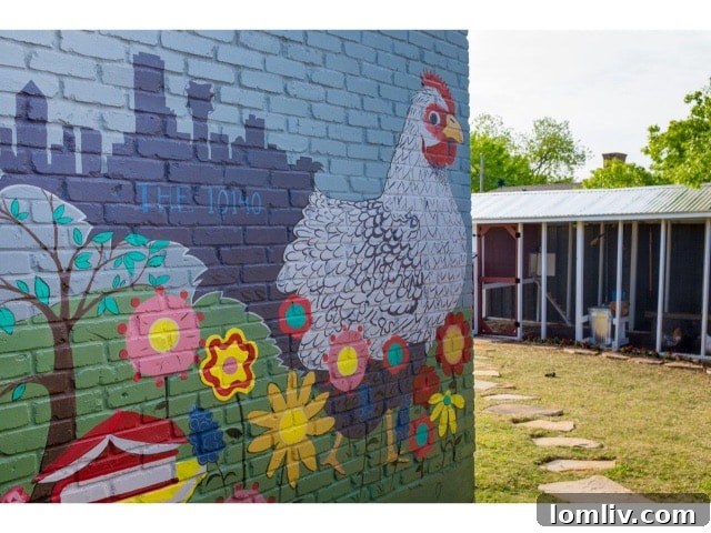 Understanding Local Chicken Ordinances