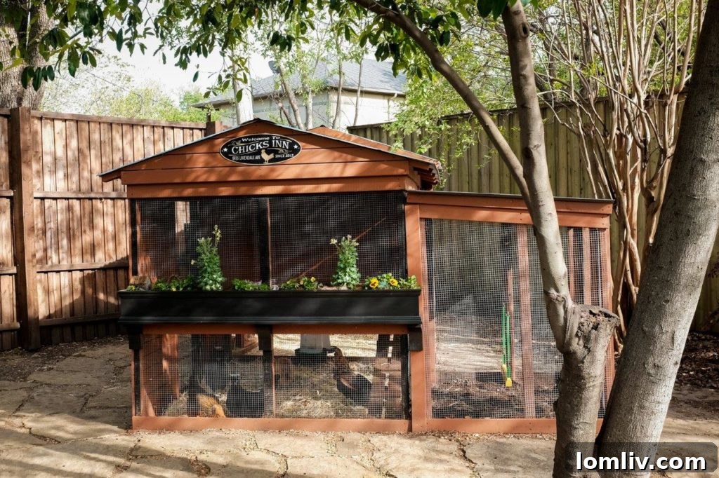 Tips for Easy Chicken Coop Maintenance