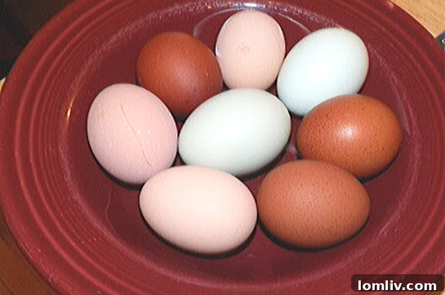 Well-Ventilated Chicken Coop for Healthy Hens